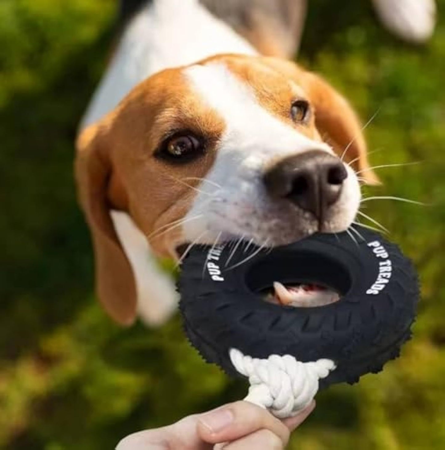Treat Tire Durable Dog Toy For Aggressive Chewers