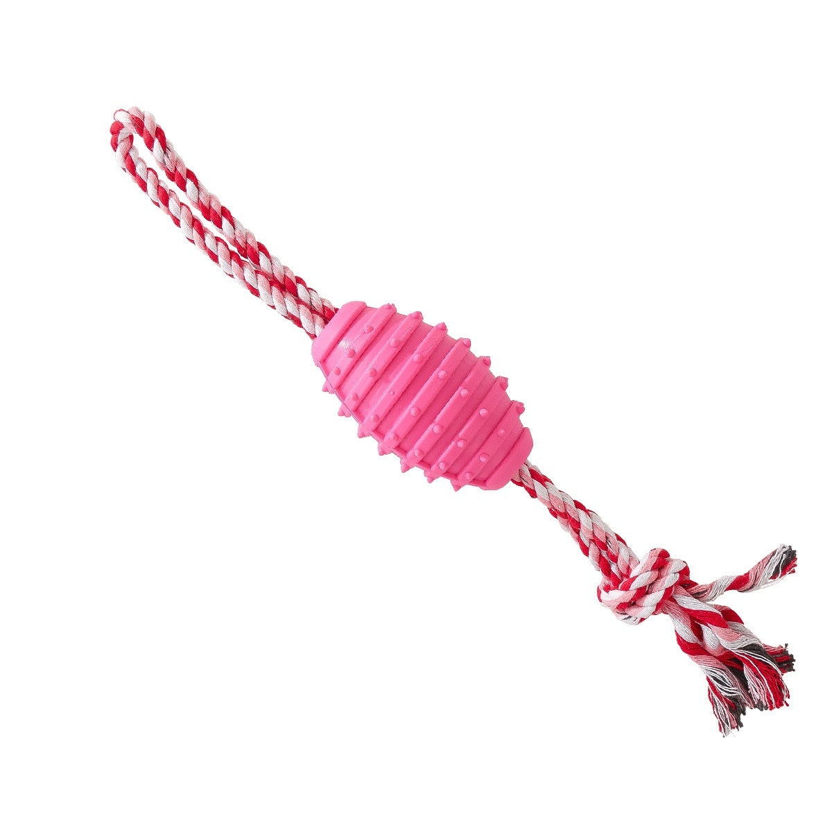 Rope and Rubber Chew Combo