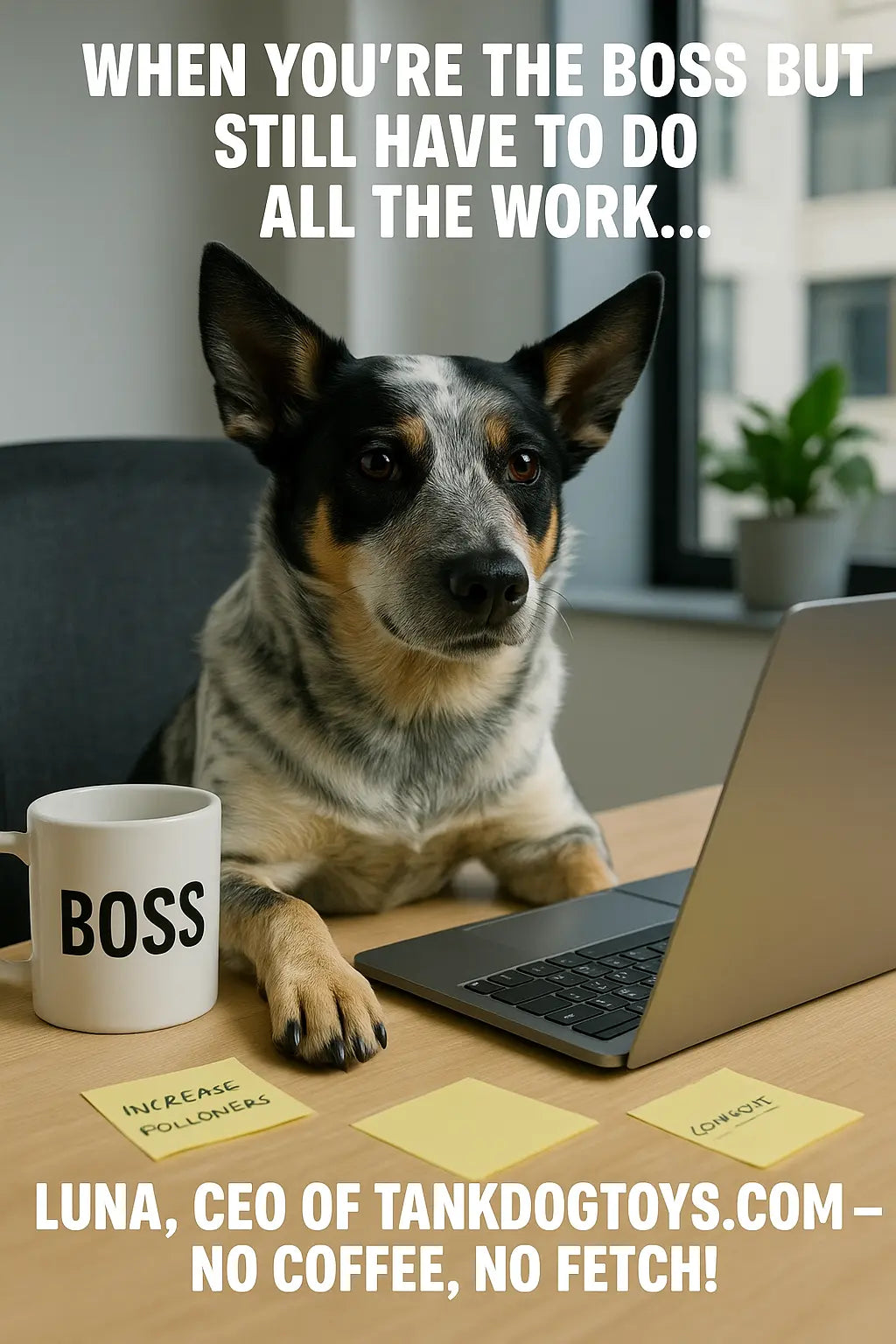 Luna's Top Pick for July