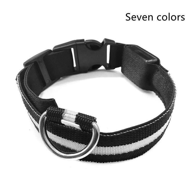 Chargeable Nylon LED Pet Dog Luminous Night Safety Collar Adjustable