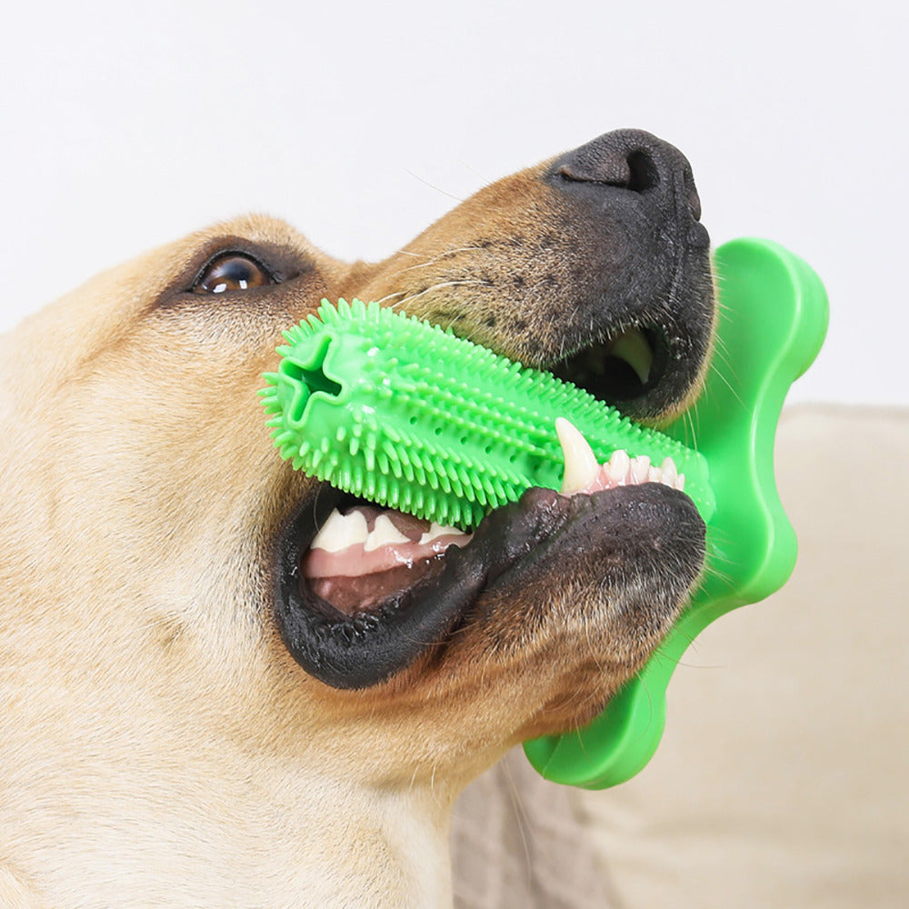 Toothbrush Chew Toy with Floor Suction Healthcare for Dogs