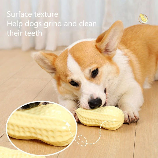 Peanut Chew Toy