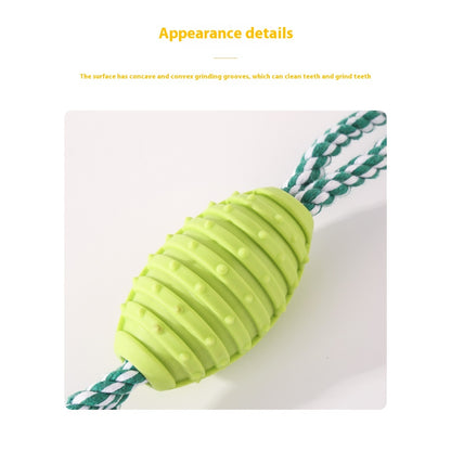 Rope and Rubber Chew Combo