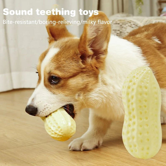 Peanut Chew Toy