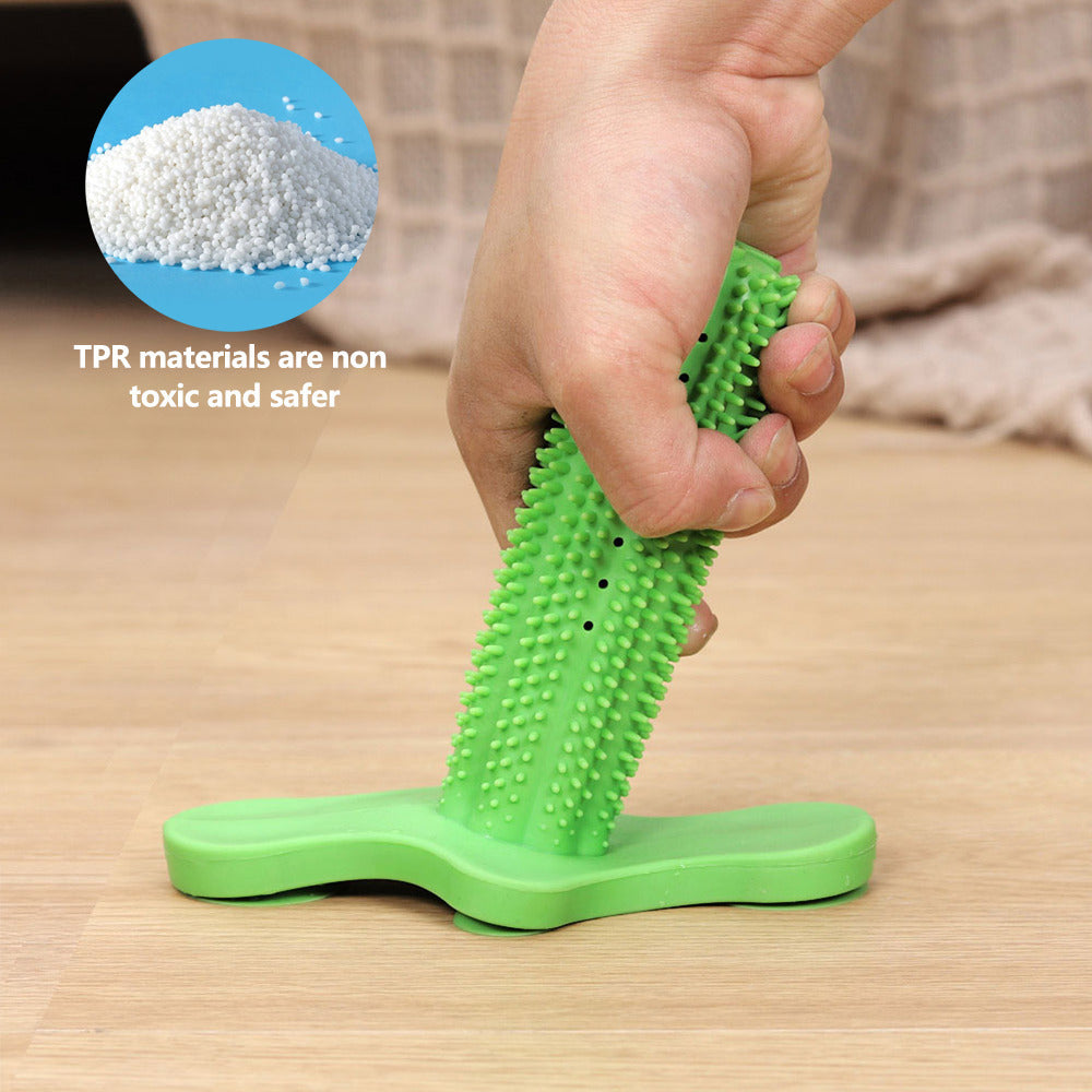 Toothbrush Chew Toy with Floor Suction Healthcare for Dogs