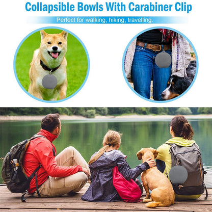 Rubber Foldable Travel Double Pet Bowl