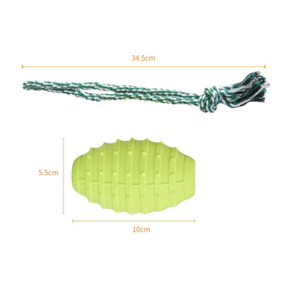 Rope and Rubber Chew Combo