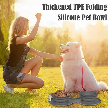 Rubber Foldable Travel Double Pet Bowl