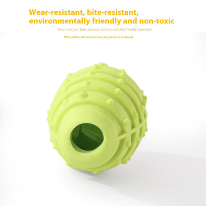 Rope and Rubber Chew Combo