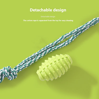 Rope and Rubber Chew Combo