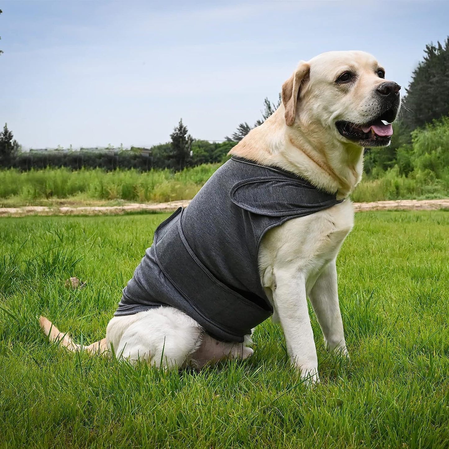 Thunder Vest For Dogs - Classic Adjustable Cloth Vest For Anxiety Stress